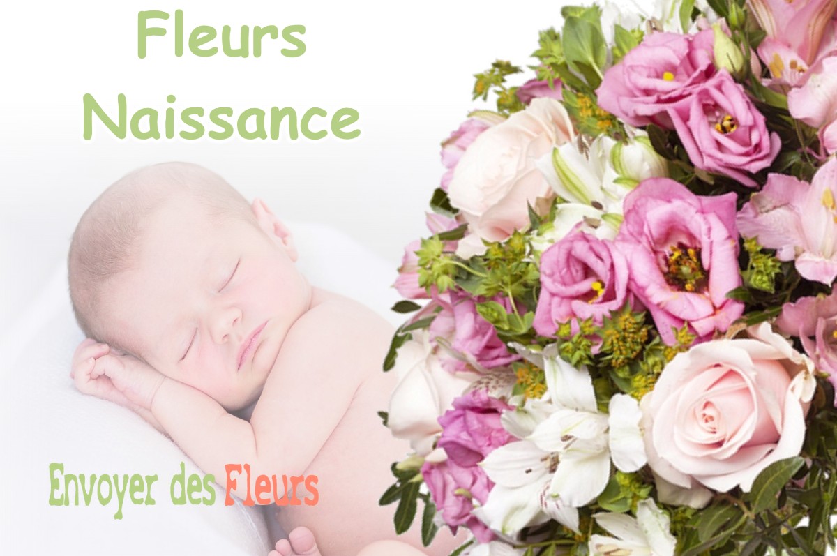 lIVRAISON FLEURS NAISSANCE à LAYRAC-SUR-TARN